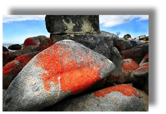 Orange Rocks
